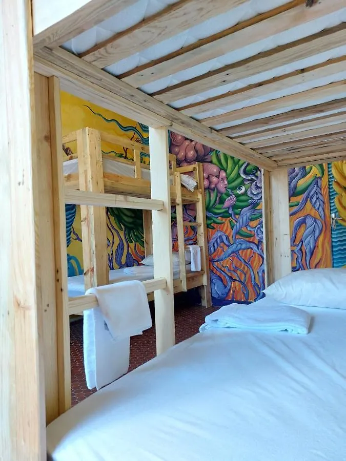 The Green Hostel No New Reservation Til 0725 Pointe-à-Pitre