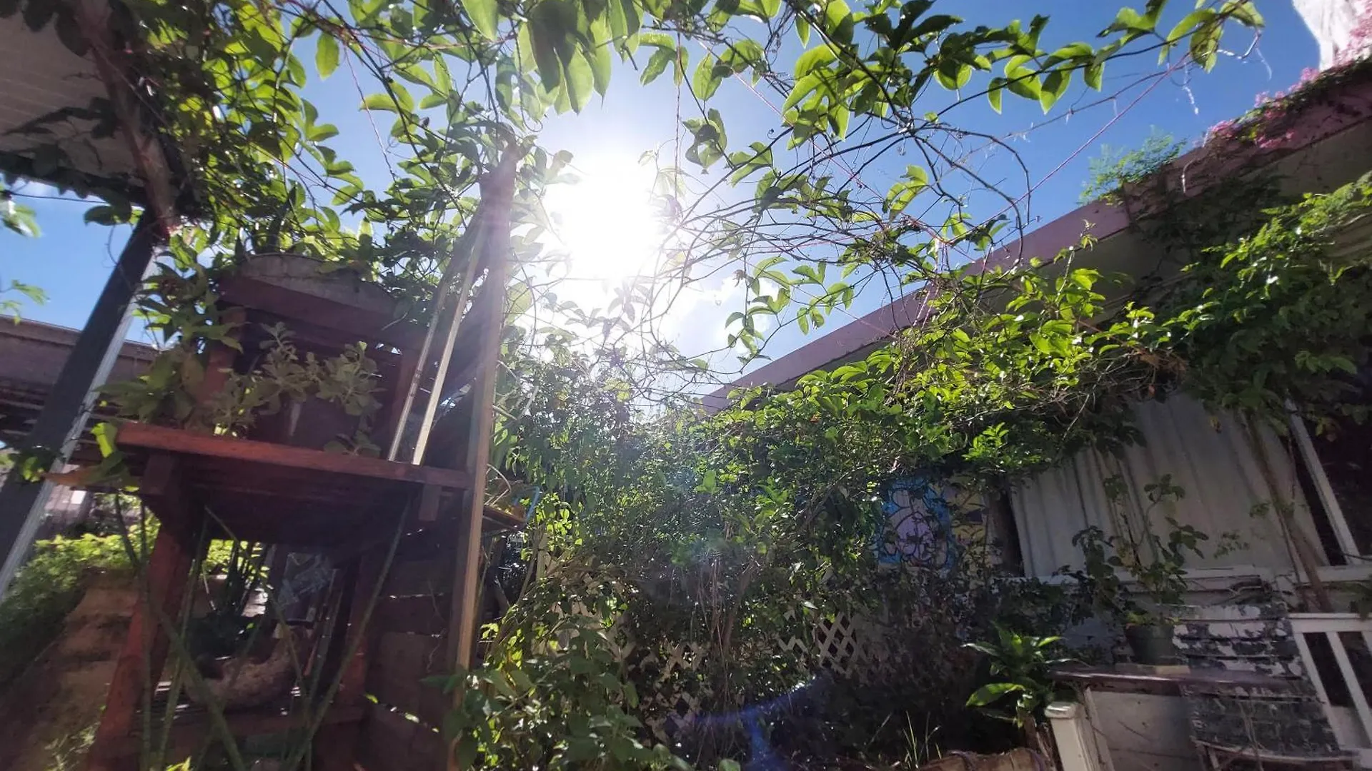 The Green Hostel No New Reservation Til 0725 Pointe-à-Pitre